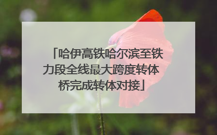 哈伊高铁哈尔滨至铁力段全线最大跨度转体桥完成转体对接
