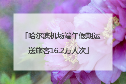 哈尔滨机场端午假期运送旅客16.2万人次
