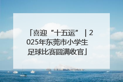 喜迎“十五运”｜2025年东莞市小学生足球比赛圆满收官