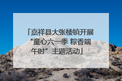 嘉祥县大张楼镇开展“童心六一季 粽香端午时”主题活动