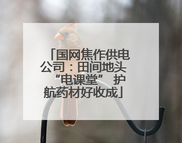 国网焦作供电公司：田间地头“电课堂” 护航药材好收成
