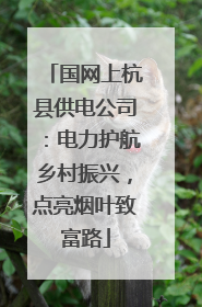 国网上杭县供电公司：电力护航乡村振兴，点亮烟叶致富路