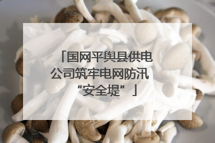 国网平舆县供电公司筑牢电网防汛“安全堤”