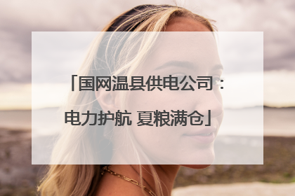 国网温县供电公司：电力护航 夏粮满仓