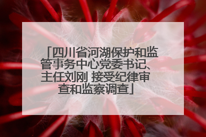 四川省河湖保护和监管事务中心党委书记、主任刘刚 接受纪律审查和监察调查