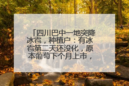四川巴中一地突降冰雹，种植户：有冰雹第二天还没化，原本葡萄下个月上市，现在全被打落
