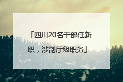 四川20名干部任新职，涉副厅级职务