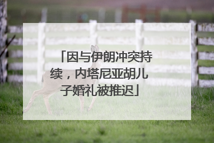 因与伊朗冲突持续，内塔尼亚胡儿子婚礼被推迟