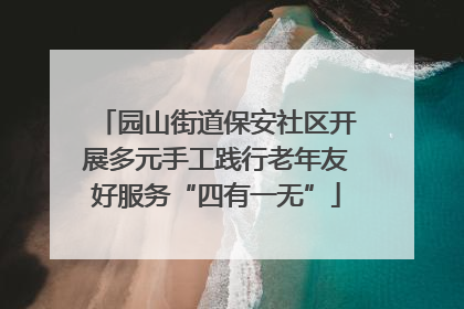 园山街道保安社区开展多元手工践行老年友好服务“四有一无”