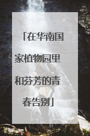 在华南国家植物园里和芬芳的青春告别