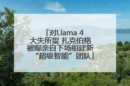 对Llama 4大失所望 扎克伯格被曝亲自下场组建新“超级智能”团队