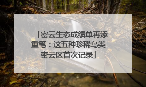 密云生态成绩单再添重笔：这五种珍稀鸟类密云区首次记录