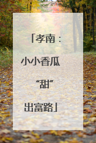 孝南：小小香瓜 “甜”出富路