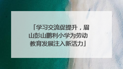 学习交流促提升，眉山彭山鹏利小学为劳动教育发展注入新活力
