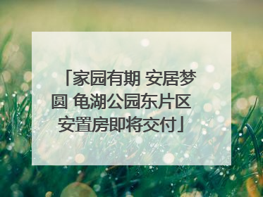 家园有期 安居梦圆 龟湖公园东片区安置房即将交付