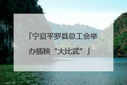 宁夏平罗县总工会举办插秧“大比武”