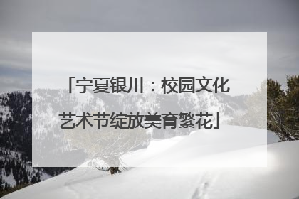 宁夏银川：校园文化艺术节绽放美育繁花