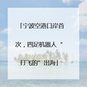 宁波空港口岸首次，四足机器人“打飞的”出海