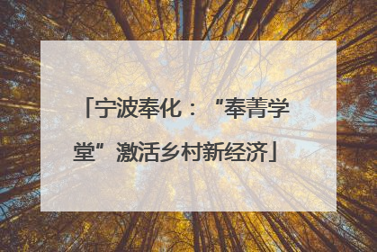 宁波奉化：“奉菁学堂”激活乡村新经济