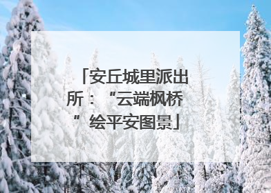 安丘城里派出所：“云端枫桥”绘平安图景