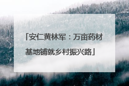 安仁黄林军：万亩药材基地铺就乡村振兴路