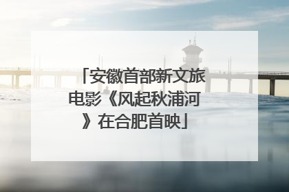 安徽首部新文旅电影《风起秋浦河》在合肥首映