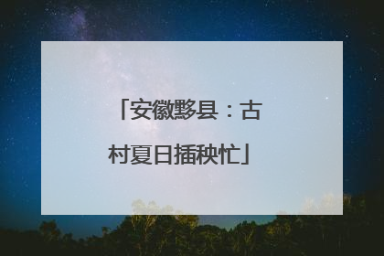 安徽黟县：古村夏日插秧忙