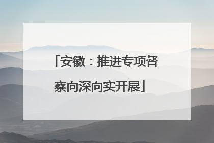 安徽：推进专项督察向深向实开展