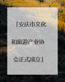 安庆市文化和旅游产业协会正式成立