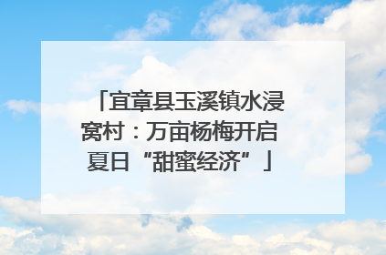 宜章县玉溪镇水浸窝村：万亩杨梅开启夏日“甜蜜经济”