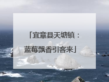 宜章县天塘镇：蓝莓飘香引客来