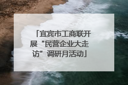 宜宾市工商联开展“民营企业大走访”调研月活动