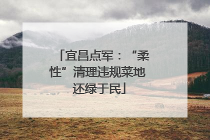 宜昌点军：“柔性”清理违规菜地 还绿于民