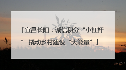 宜昌长阳：诚信积分“小杠杆” 撬动乡村建设“大能量”
