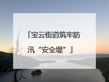 宝云街道筑牢防汛“安全堤”