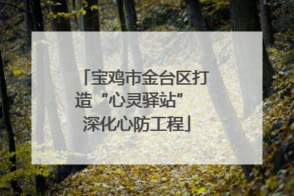 宝鸡市金台区打造“心灵驿站” 深化心防工程