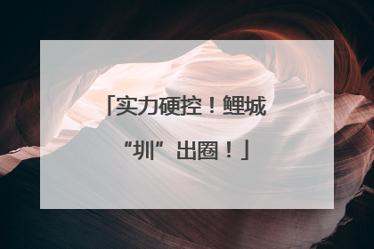 实力硬控！鲤城“圳”出圈！