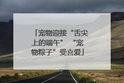 宠物迎接“舌尖上的端午” “宠物粽子”受喜爱