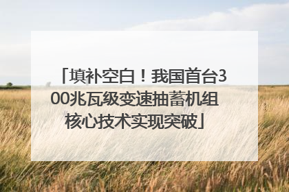 填补空白！我国首台300兆瓦级变速抽蓄机组核心技术实现突破
