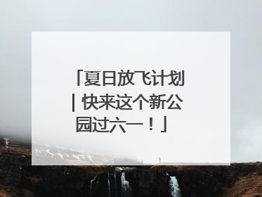 夏日放飞计划｜快来这个新公园过六一！