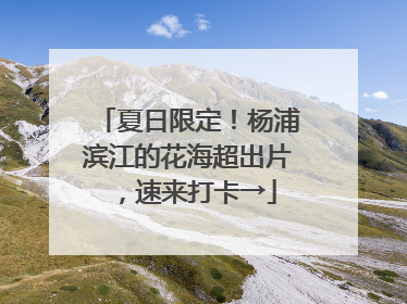 夏日限定！杨浦滨江的花海超出片，速来打卡→