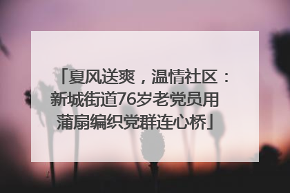 夏风送爽，温情社区：新城街道76岁老党员用蒲扇编织党群连心桥