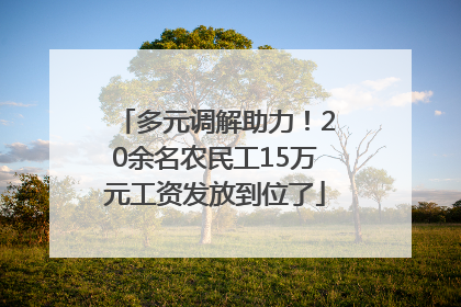 多元调解助力！20余名农民工15万元工资发放到位了