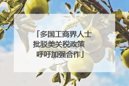 多国工商界人士批驳美关税政策 呼吁加强合作