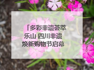 多彩非遗荟萃乐山 四川非遗焕新购物节启幕｜镜观四川