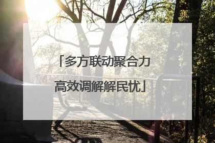 多方联动聚合力 高效调解解民忧