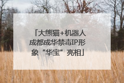 大熊猫+机器人 成都成华禁毒IP形象“华宝”亮相