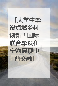 大学生毕设点燃乡村创新！国际联合毕设在宁海展现中西交融