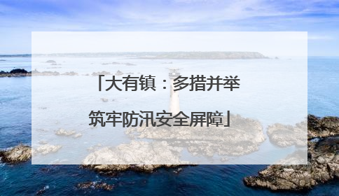 大有镇：多措并举筑牢防汛安全屏障
