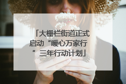 大栅栏街道正式启动“暖心万家行”三年行动计划